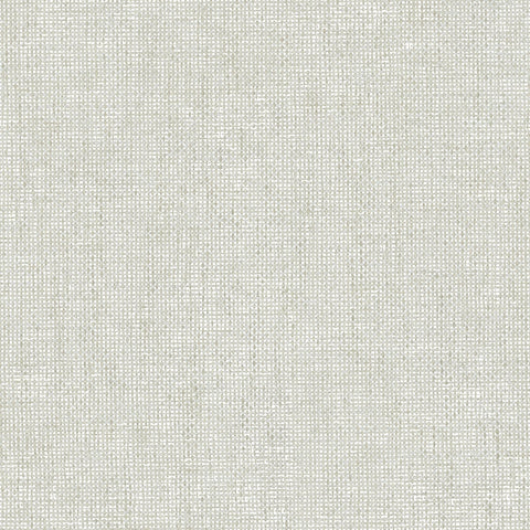 IT32461 Intreccio Congo Plain Texture Wallpaper