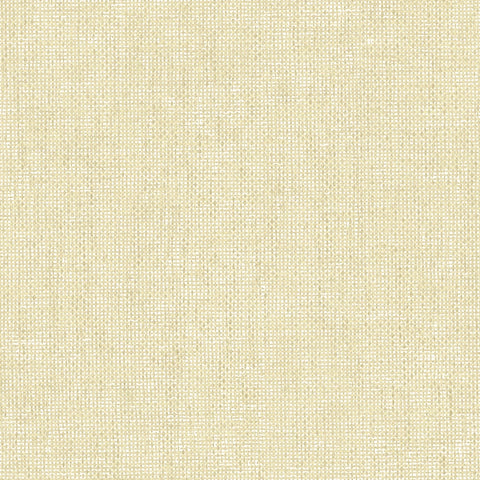IT32462 Intreccio Congo Plain Texture Wallpaper