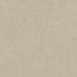 IT32471 Muro Congo Plaster Effect Plain Texture Wallpaper