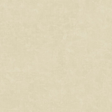 IT32480 Muro Congo Plaster Effect Plain Texture Wallpaper