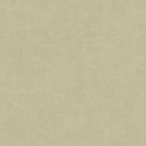 IT32482 Muro Congo Plaster Effect Plain Texture Wallpaper