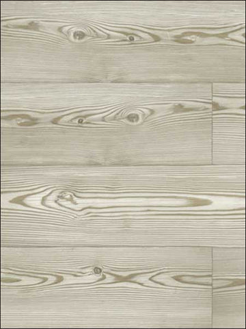 JB21706 Wood Planks Almond Honey Wallpaper