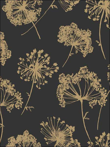 JB21800 Ladies Lace Black and Gold Wallpaper