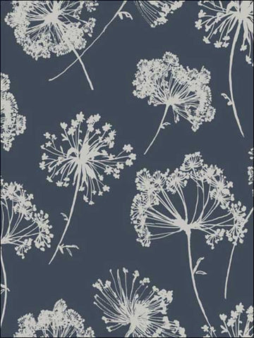 JB21812 Ladies Lace Navy and White Wallpaper