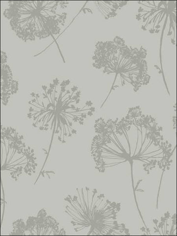 JB21820 Ladies Lace Silver Metallic and Gray Wallpaper