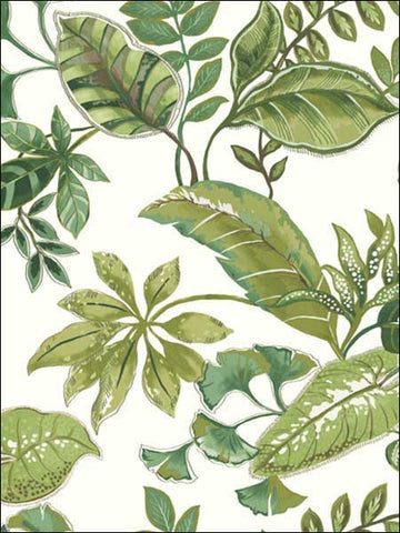 JB21914 Tropical Leaf Green White Wallpaper