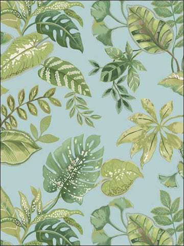 JB21924 Tropical Leaf Aqua Wallpaper
