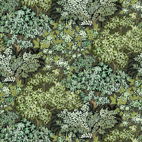JMW1004.11 Broccoli Canpoy Wallpaper