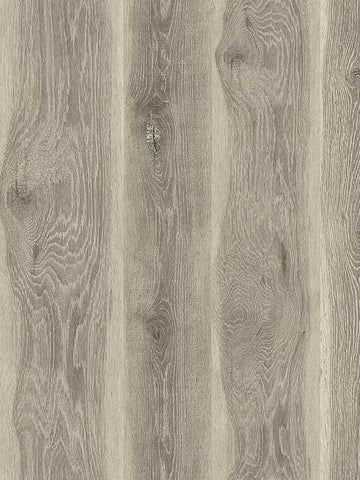 JP11315 Kieri Ash Brown Wallpaper