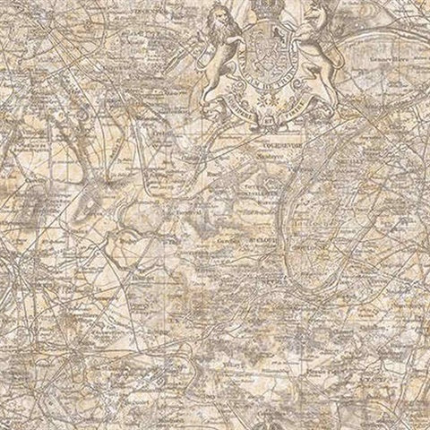 JP30500 Vespucci Map Wallpaper