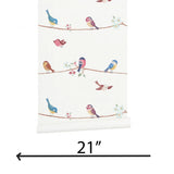 KJ52202 Colorful birds perched on thin kids nursery yellow blue pink on white wallpaper
