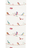 KJ52202 Colorful birds perched on thin kids nursery yellow blue pink on white wallpaper
