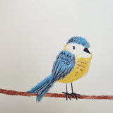 KJ52202 Colorful birds perched on thin kids nursery yellow blue pink on white wallpaper
