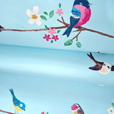 KJ52212 Birds perched on thin kids nursery brown yellow pink green light blue wallpaper