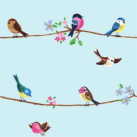 KJ52212 Blue Sweet Tweet Cute Bird's On A Wire Wallpaper