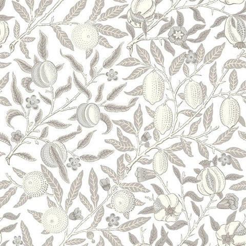 KT20600 Pomegranate Botanical Greige Wallpaper