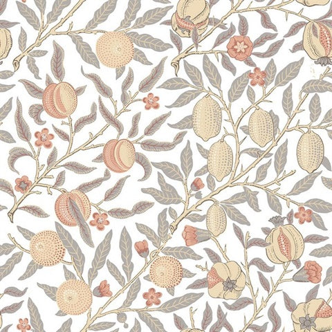 KT20603 Pomegranate Botanical Daydream Grey Melon Wallpaper