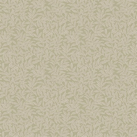 KT20804 Small Leaf Trail Oat Wallpaper