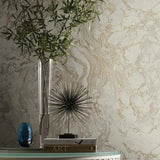KT2225 Polished Marble Wallpaper