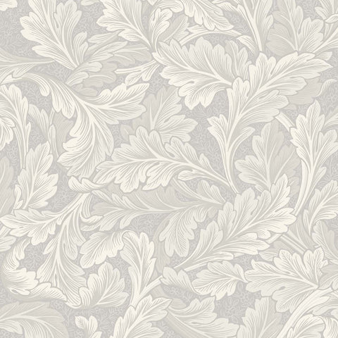 KT30200 Carole Frosty Window Wallpaper