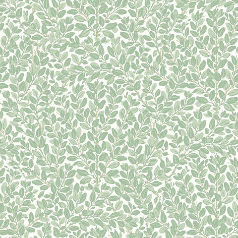 KT30604 Francesca Apple Green Wallpaper
