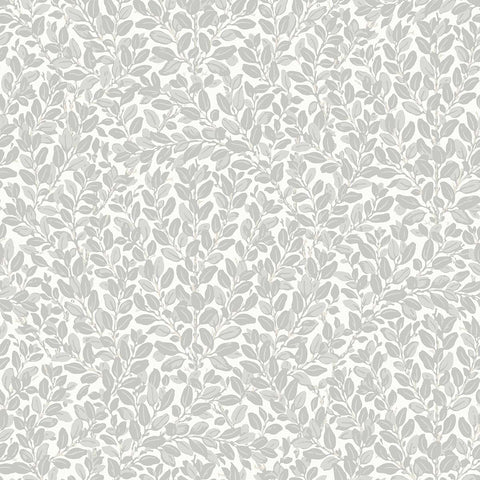 KT30608 Francesca Morning Mist Wallpaper 