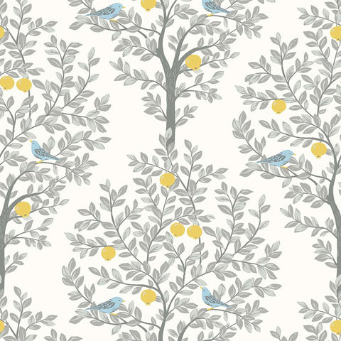 KT31008 Goldcrest Foggy Morning Wallpaper