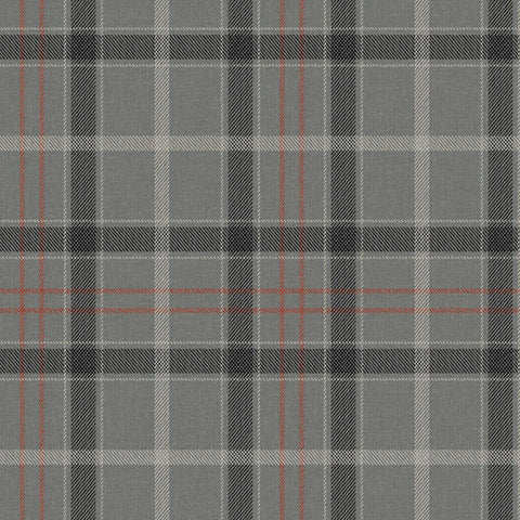 KT40205 Bucklane Gray Fox Wallpaper