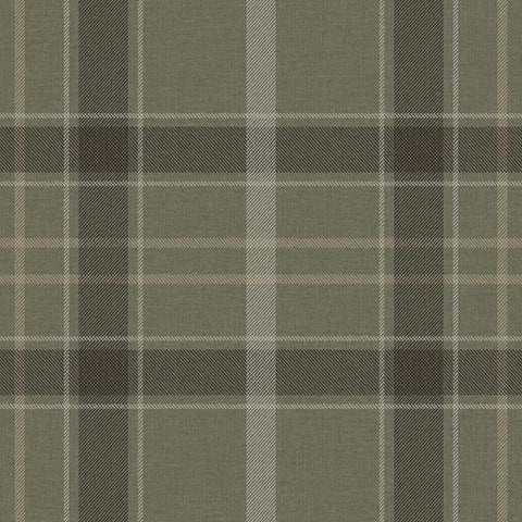 KT41214M Cyrene Olive Mural 