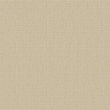 KTM1632 Capsule Geometric Metallic Gold Parchment Wallpaper