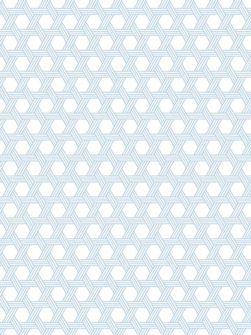 LN10202 Cabana Wicker Carolina Blue Eggshell Wallpaper