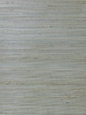 LN11822 Abaca Grasscloth Lake Forest Sandy Shore Wallpaper