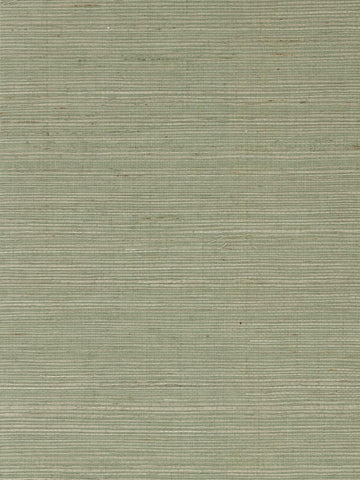 LN11824 Sisal Grasscloth Tender Green Wallpaper