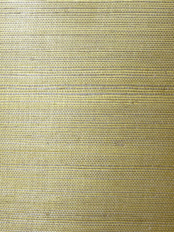 LN11864 Sisal Grasscloth Metallic Gold Aloe Wallpaper