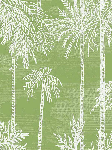 LN40204 Seabrook Palm Tropical Green Wallpaper