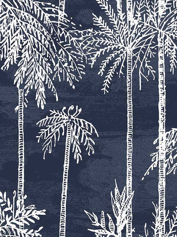 LN40212 Seabrook Palm Tropical Blue Wallpaper