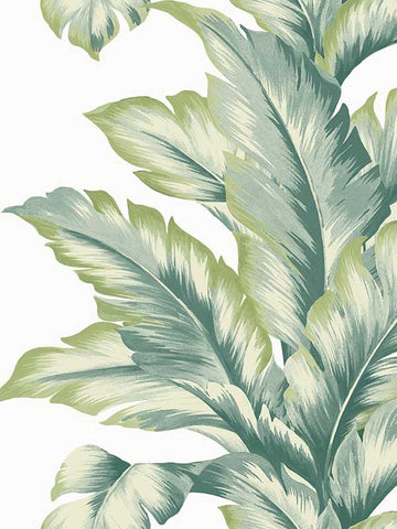 LN40604 Seabrook Banana Leaf Green Wallpaper
