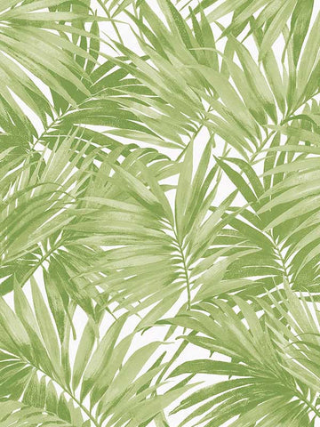 LN40704 Seabrook Palm Leaf Green Wallpaper