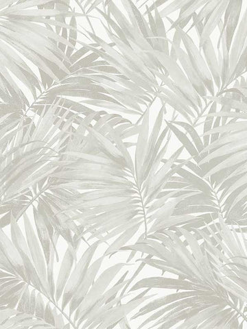 LN40707 Seabrook Palm Leaf Gray Wallpaper