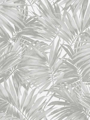 LN40708 Seabrook Palm Leaf Gray Wallpaper