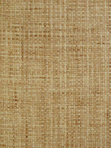 LN50038 Paperweave Sunkist Wallpaper