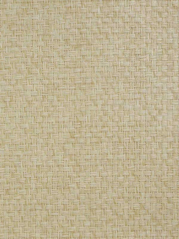 LN50043 Sisal Cappuccino Wallpaper