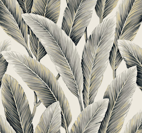LS60200 Foliage Black Pepper Wallpaper