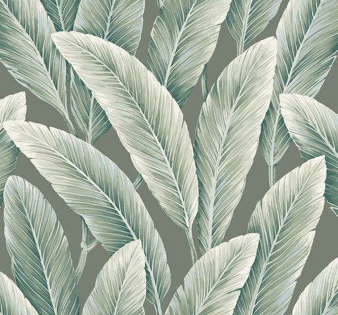 LS60204 Foliage Emerald Wallpaper 