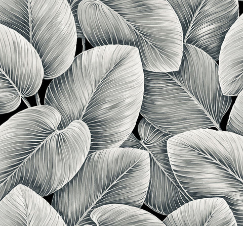 LS60300 Lush Leaf Jet Wallpaper