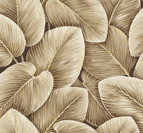 LS60306 Lush Leaf Chocolate Wallpaper