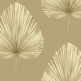 LS60805 Grande Leaf Taupe Wallpaper 