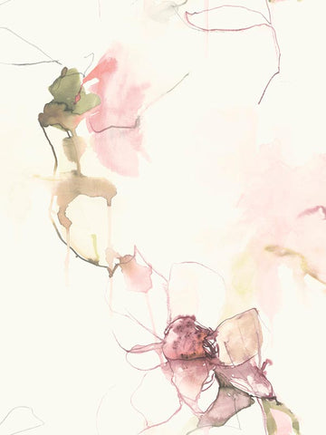 LW50001 Anemone Watercolor Floral Pink Lemonade Wine Wallpaper