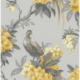 M1662 Golden Pheasant Grey Floral Wallpaper