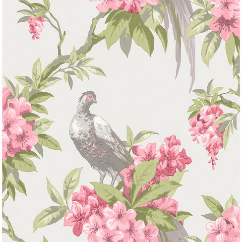 M1664 Golden Pheasant Rose Floral Wallpaper